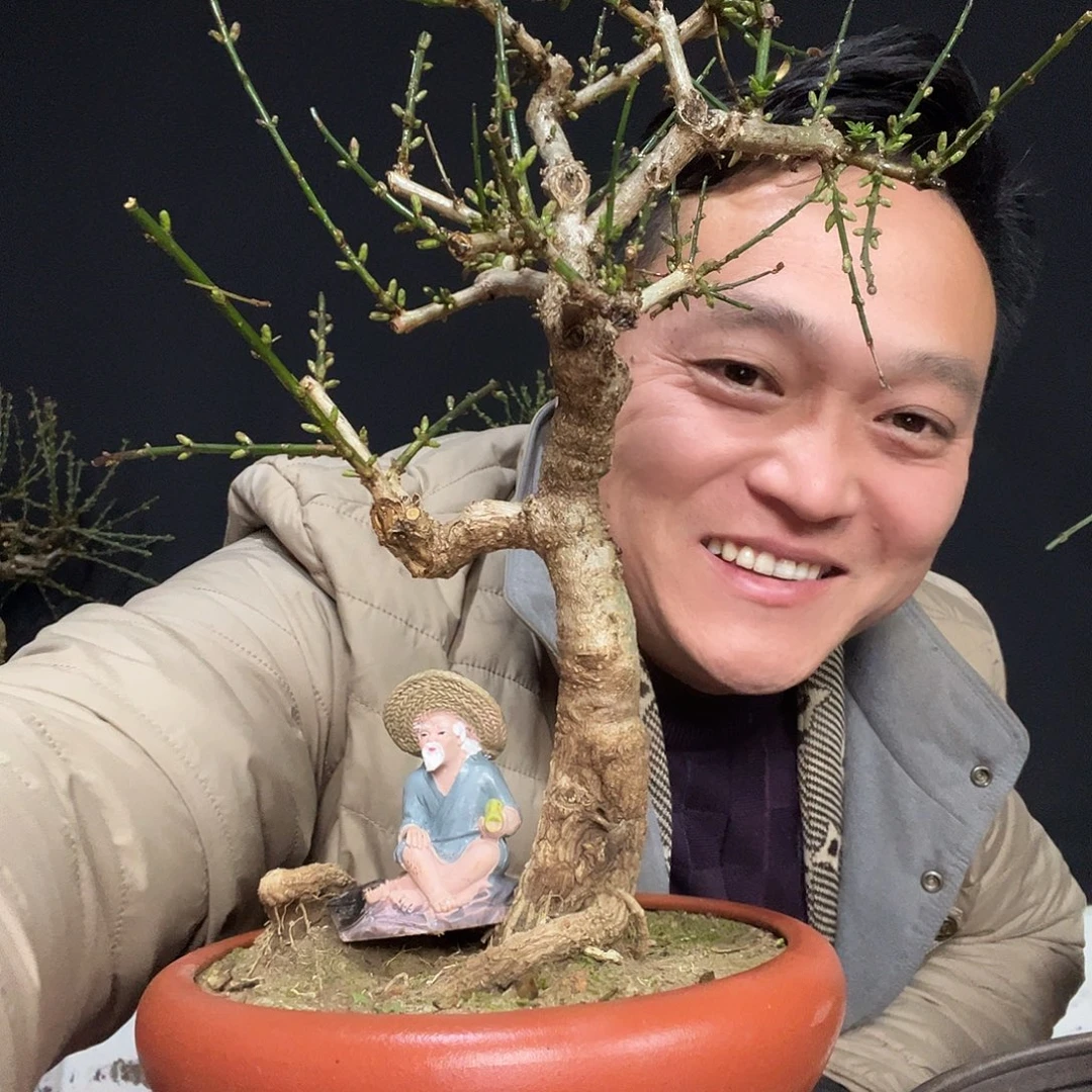 酸****无花朵谢谢你的关心和支持