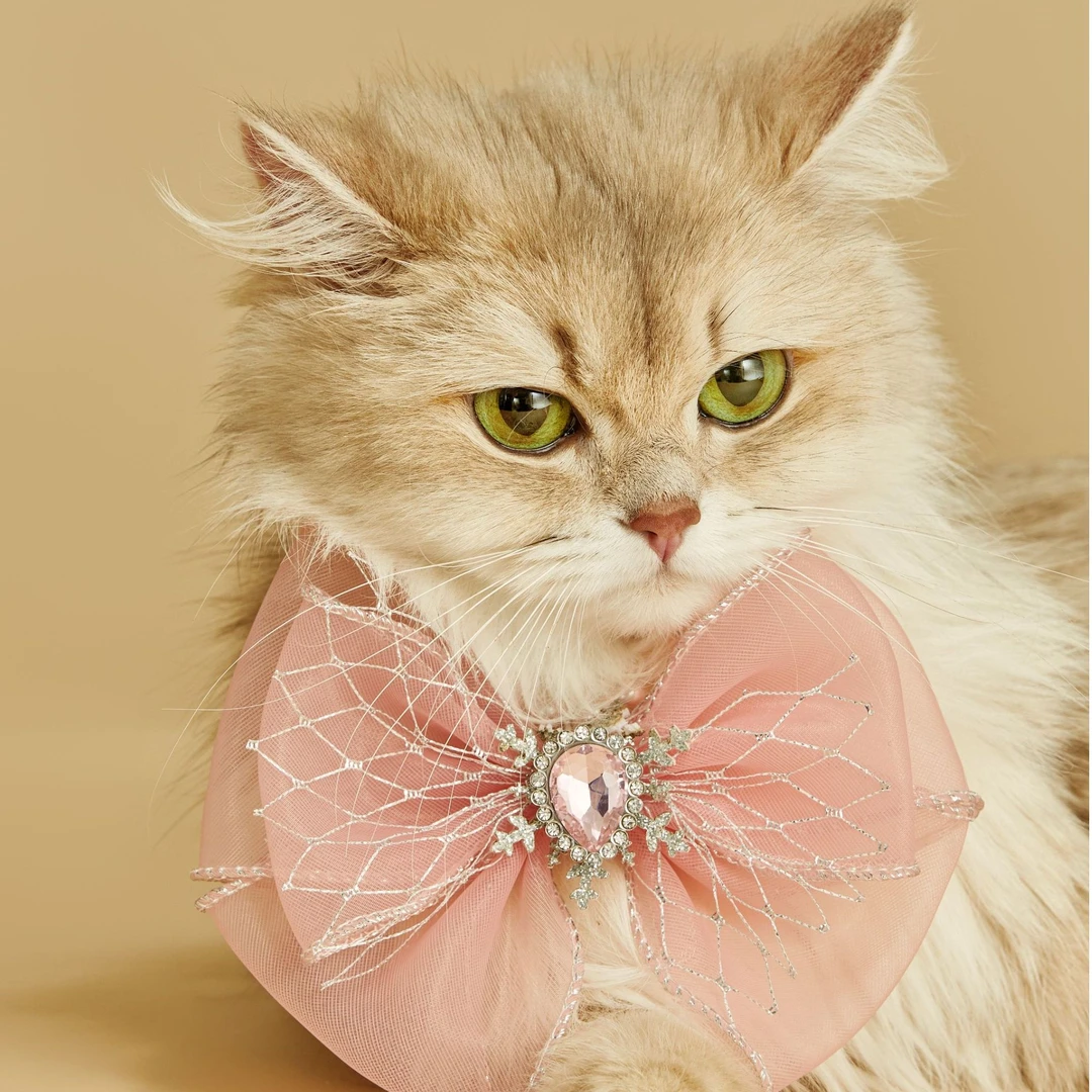 雪舞流光·轻羽珍珠宠物项链