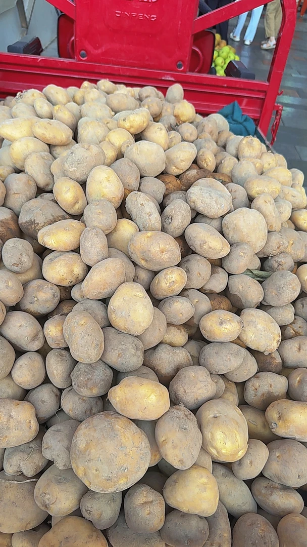 粉面软糯黄心土豆（马尔科）9.5斤一袋