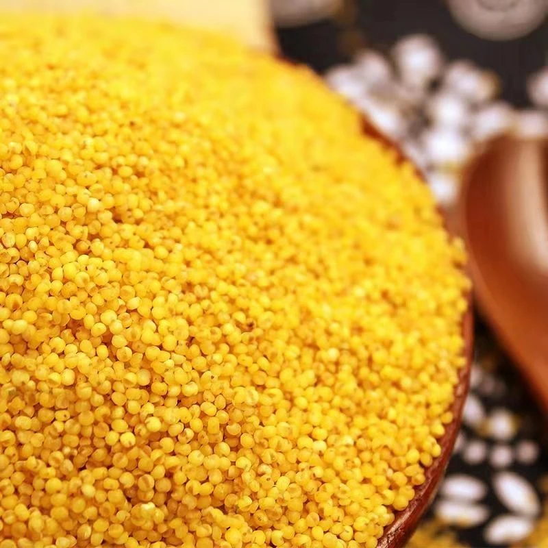 必出米油！2025陕北米脂新米五谷杂粮月子米宝宝辅食