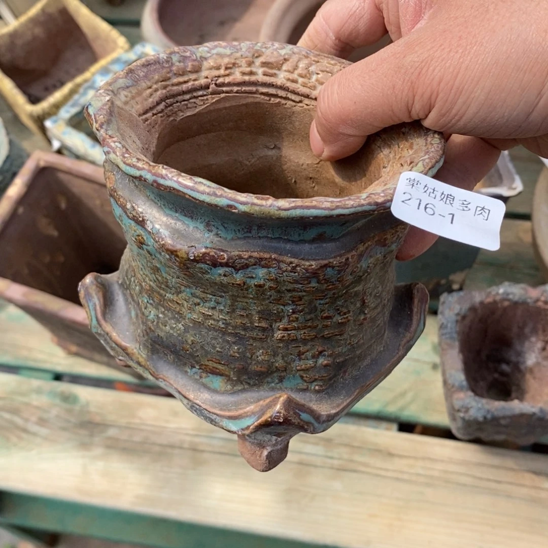 红陶嫣*1号多肉盆一个呀