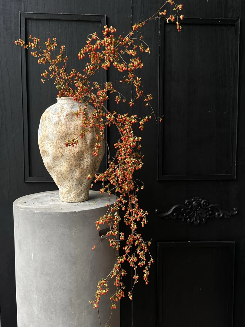 南蛇藤鲜切枝条水培后期可做干花长期放置顺丰包邮