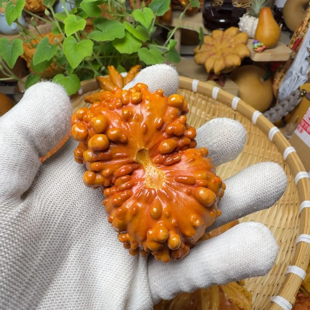 萬特价葫芦不退不换
