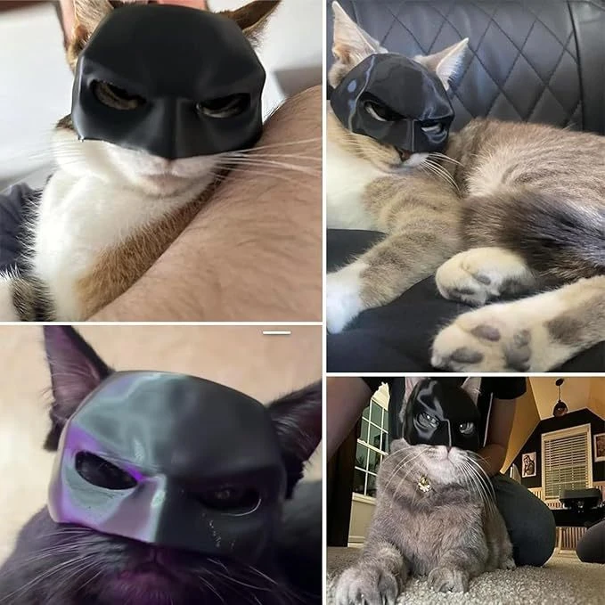 【佳宝】搞笑猫咪面具黑色蝙蝠头小丑型大小猫型适用万圣节宠物生日