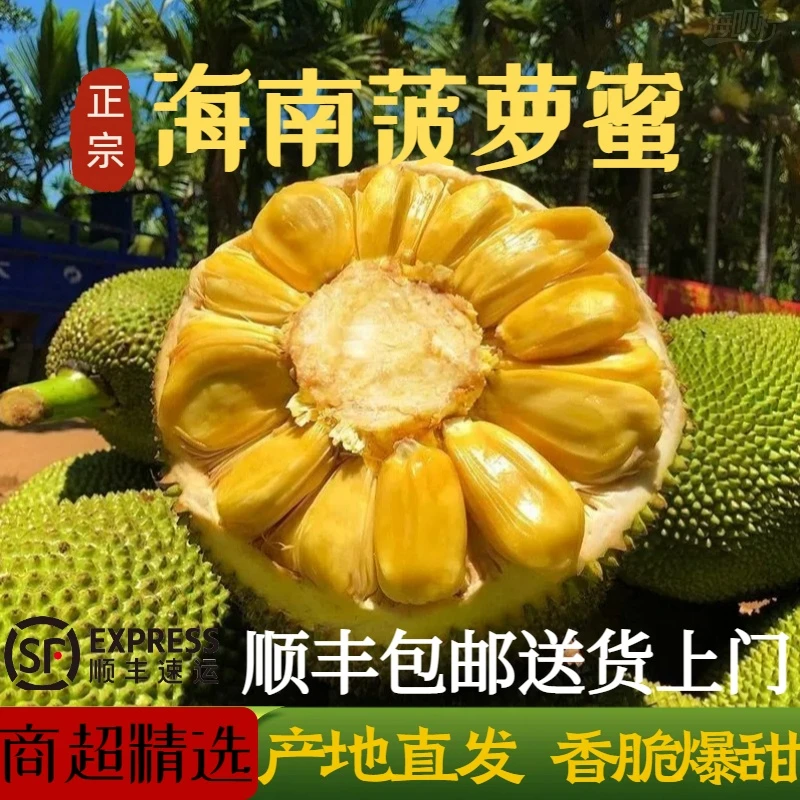 海呗柠  海南菠萝蜜干包甜  顺丰包邮 黄肉菠萝蜜整个原产地直发