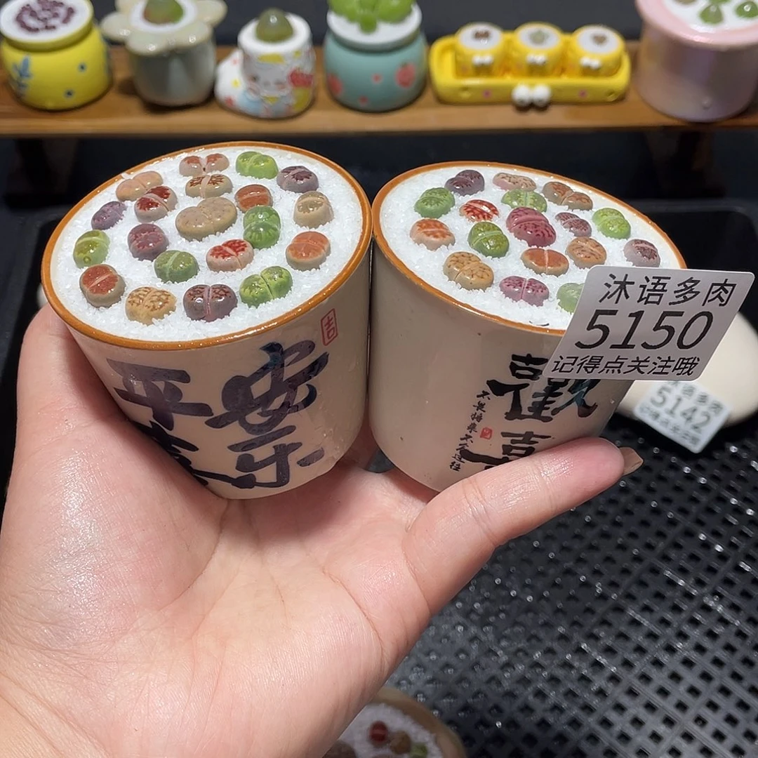 带盆土植物 一物一拍5150