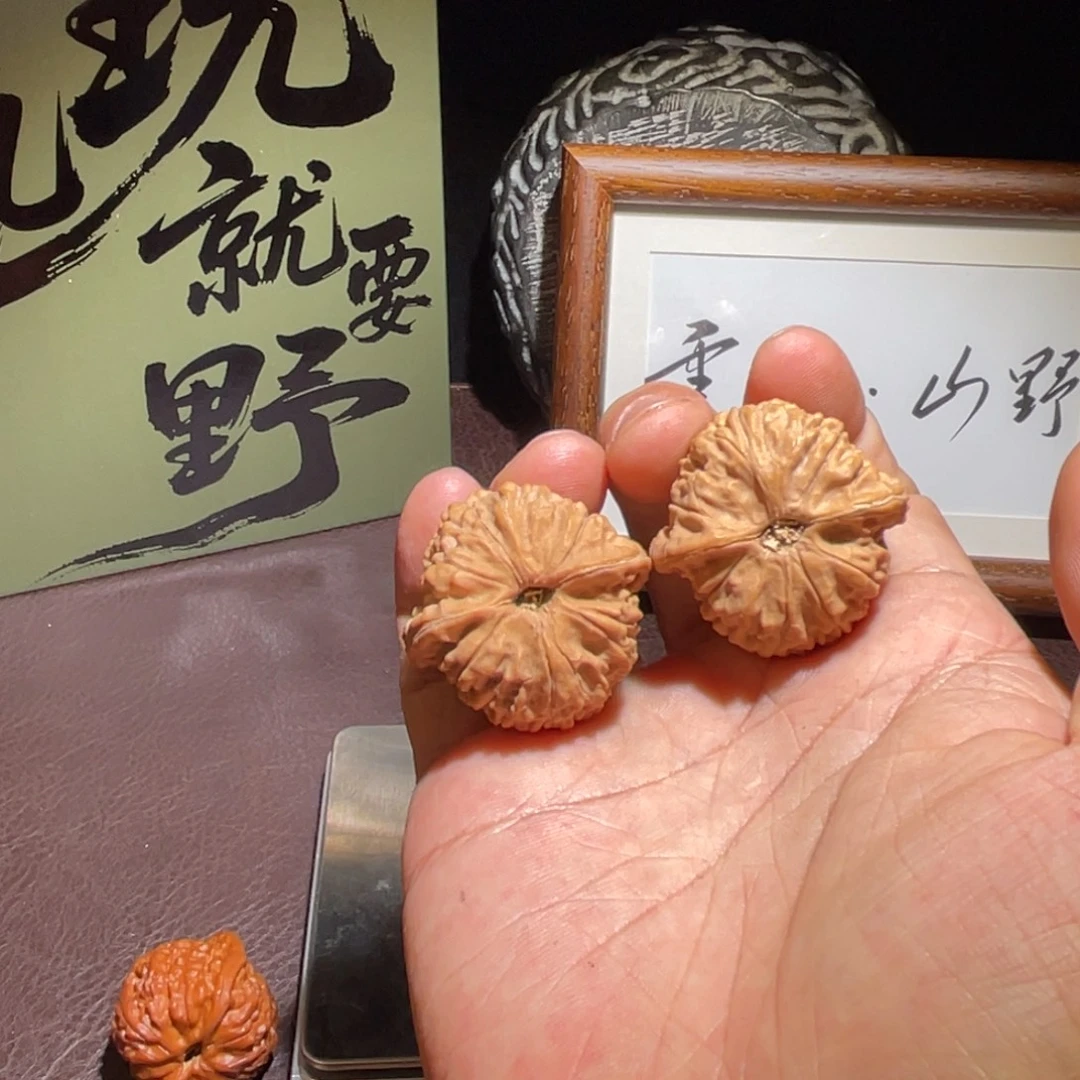 文玩核桃蛇王一抹红