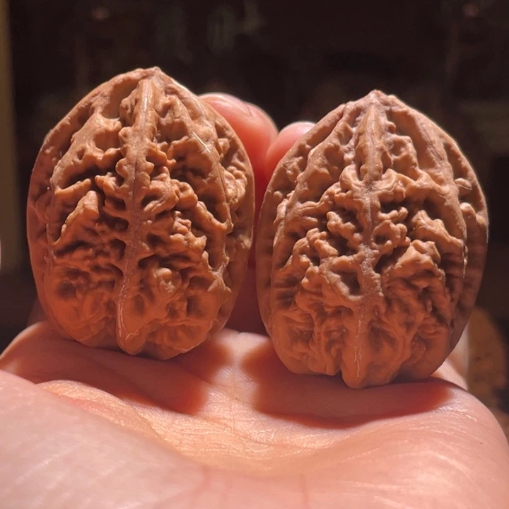 吊坠文玩核桃老树珊瑚纹48