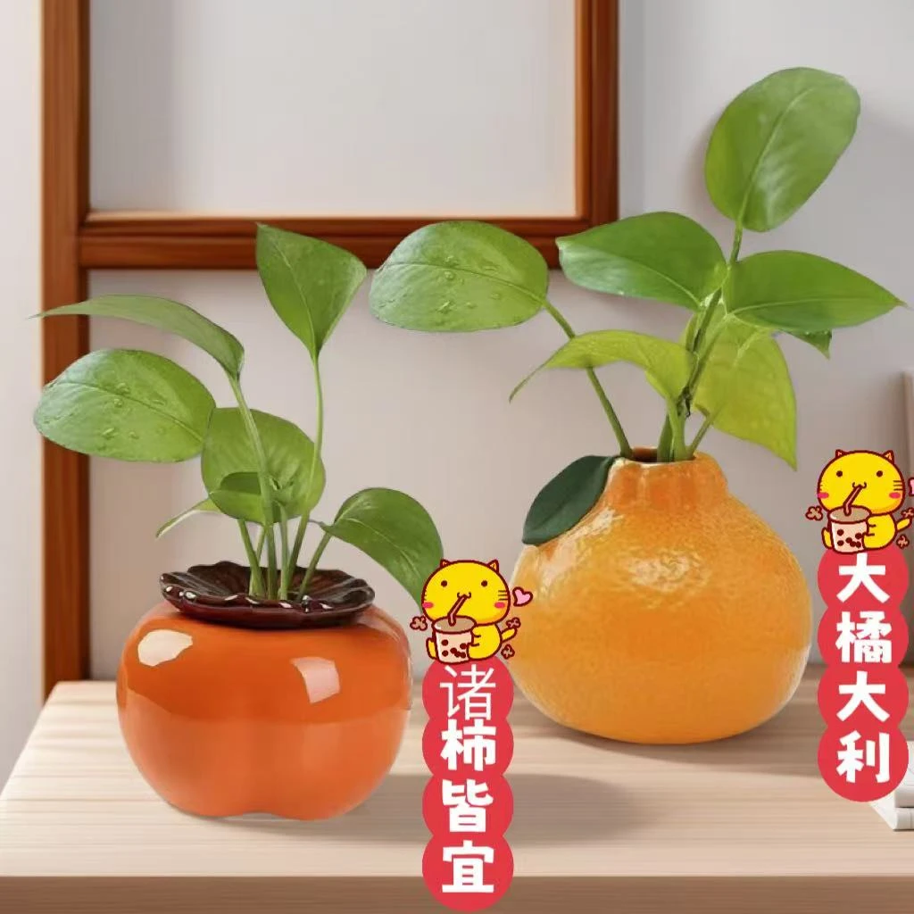 橘子花瓶陶瓷盆创意室内办公室好养水培水养植物绿萝茶几公司摆件