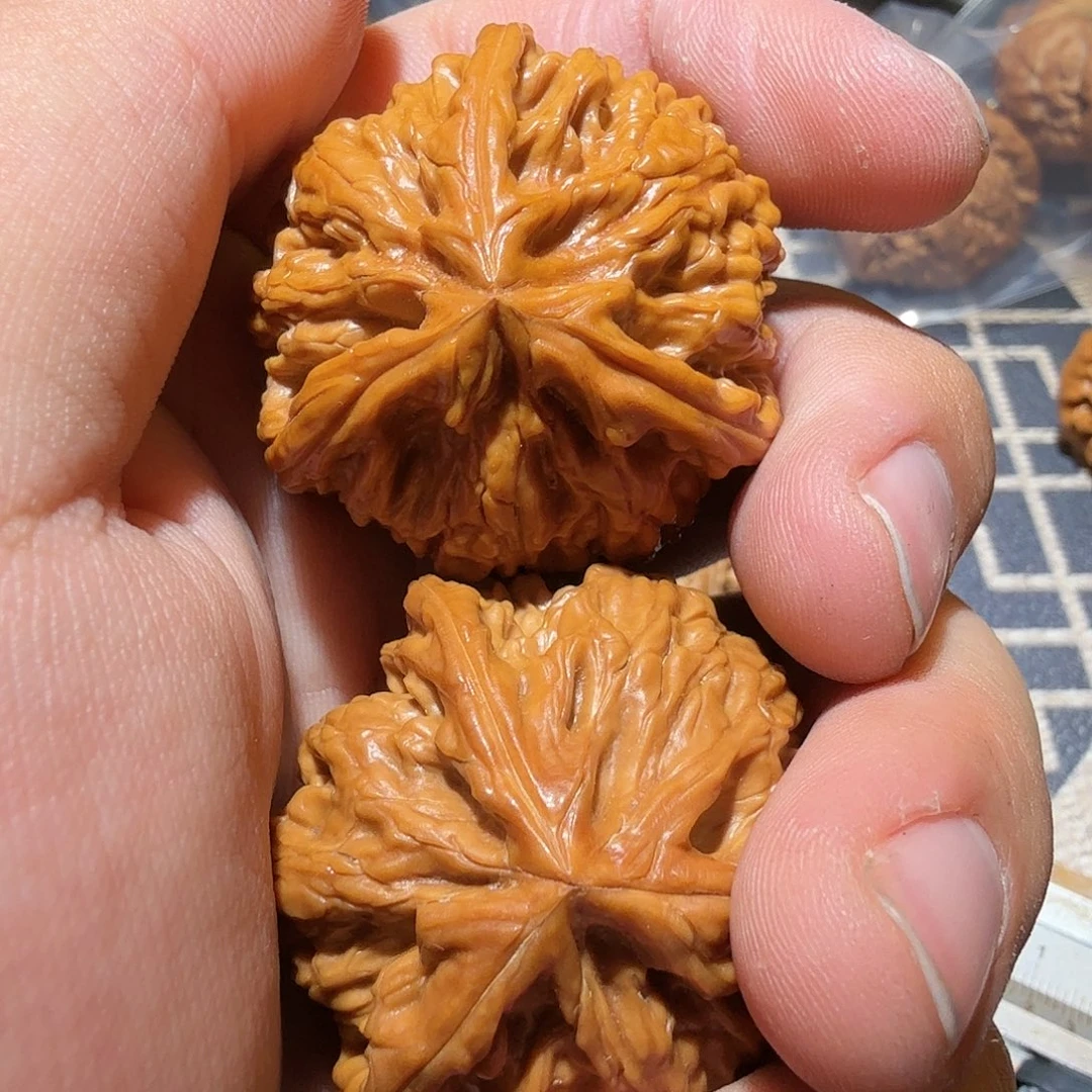 文玩核桃把件御龙正奔