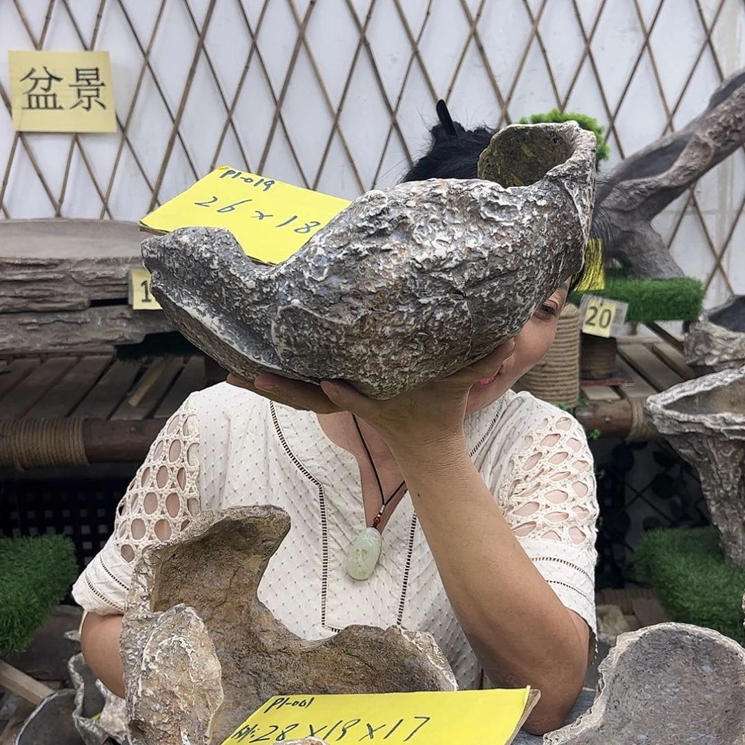 盆景盆盆景盆P1-019