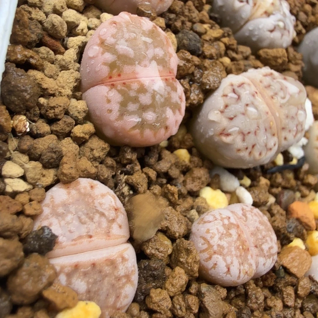 我们一起看电视的时间040好