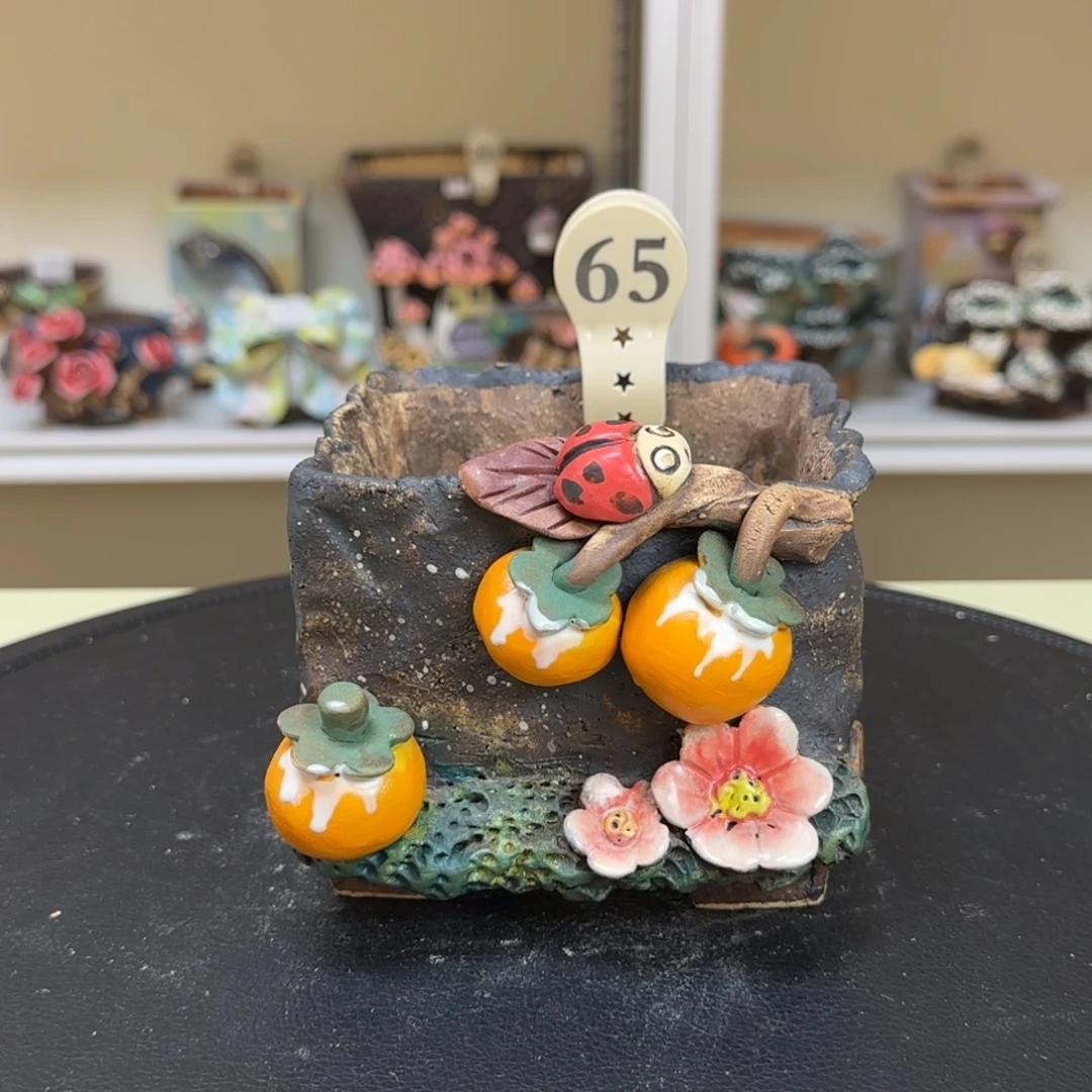 65 【闪购】多肉花盆