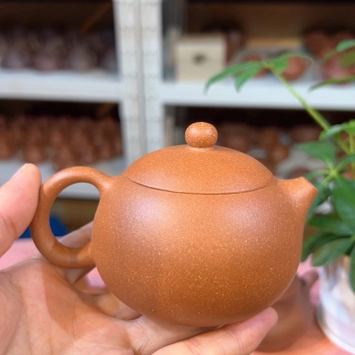 茶壶紫砂降坡西施180c c