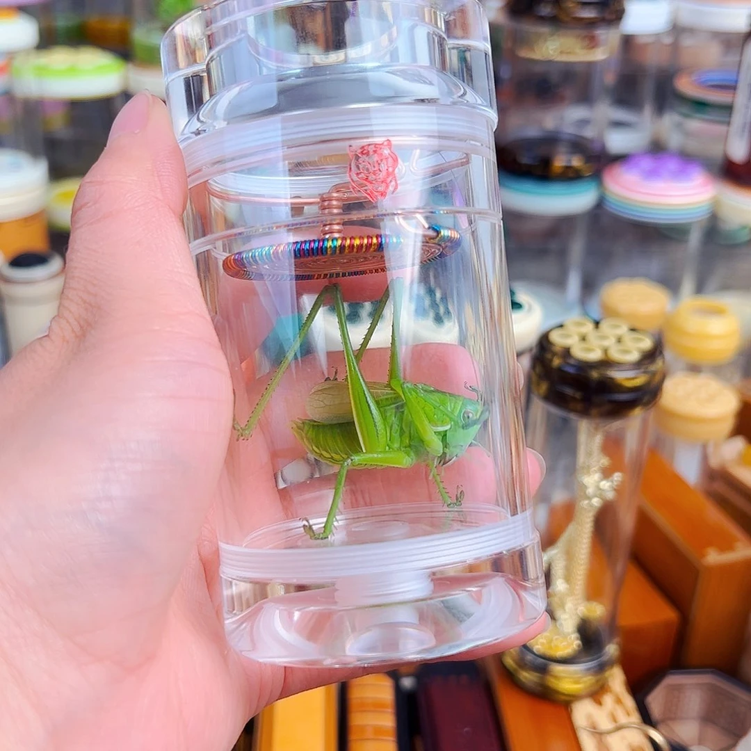 木白色老王罐➕彩簧➕翡翠绿锅锅