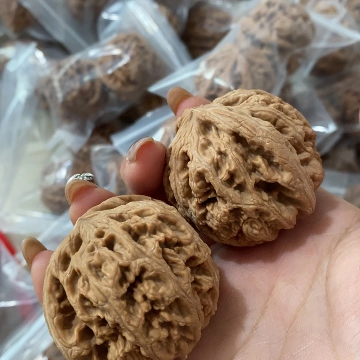 $**$大粗筋大粗筋大粗筋