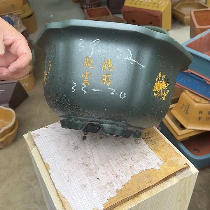 紫砂花盆这是我第一