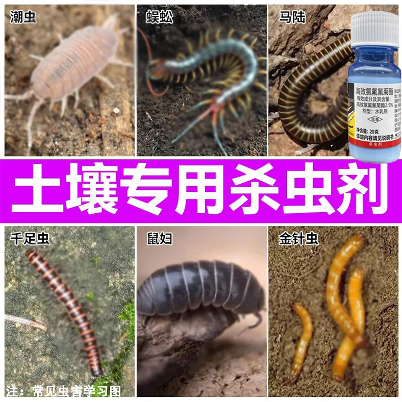 花盆土壤杀虫剂地下害虫花药千足蛴螬马陆鼠妇蜈蚂蚁蚣潮虫杀虫药