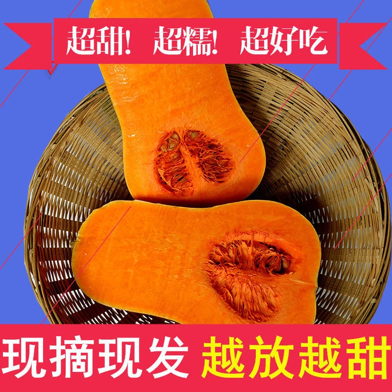 【新人专享】奶油小南瓜当季新鲜现摘农家老南瓜香甜软糯宝宝辅食
