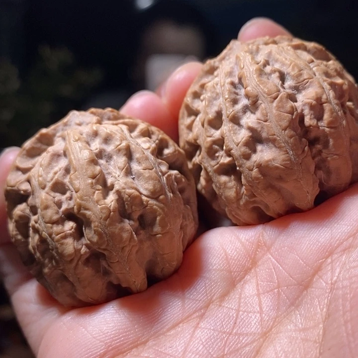 文玩核桃把件东北楸子小路30