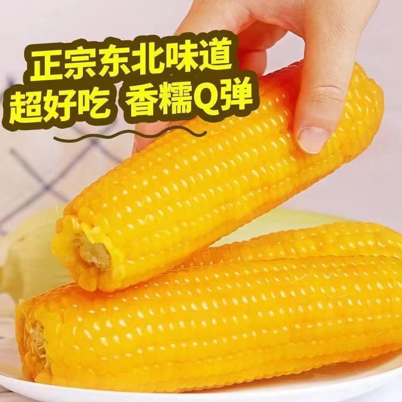 专场】24年头茬博斯糯9黄糯玉米软糯香甜款270-300g/根12只6.5-7斤