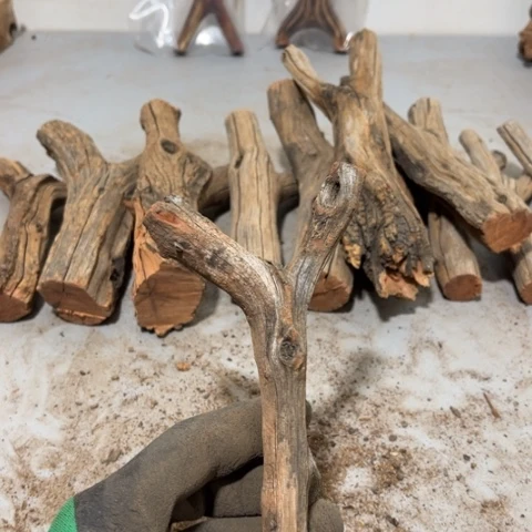 大果紫檀（缅甸花梨）阿*