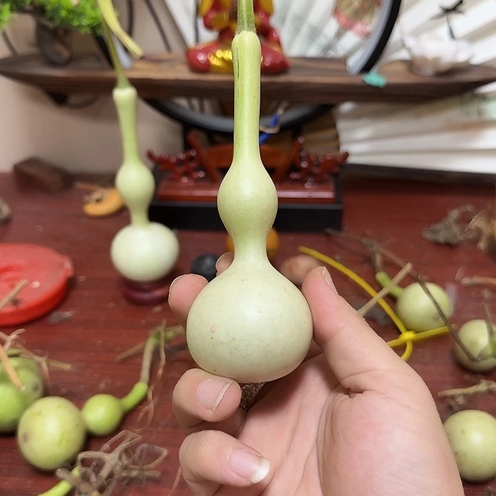 默***林2233333221112223333