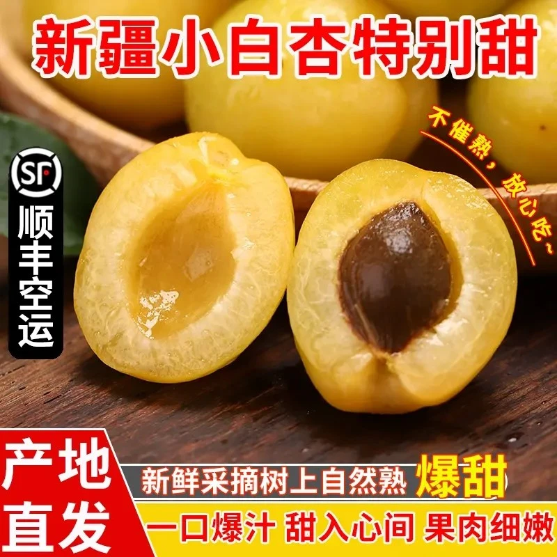 【3斤装】新疆轮台小白杏72小时顺丰空运（阳霞镇直发）