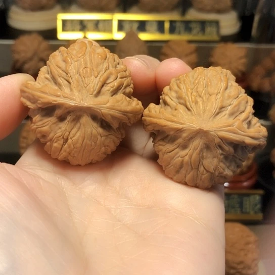 精品野生小众无名