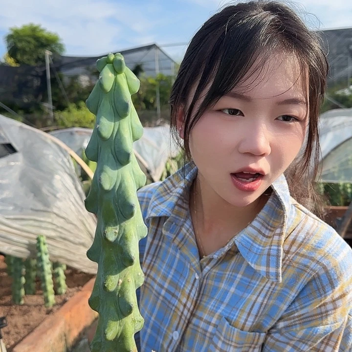 福禄寿20cm1111111111