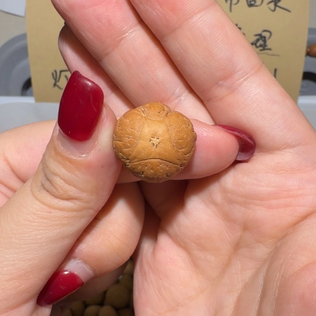 大***岳吊坠凤眼菩提大岳