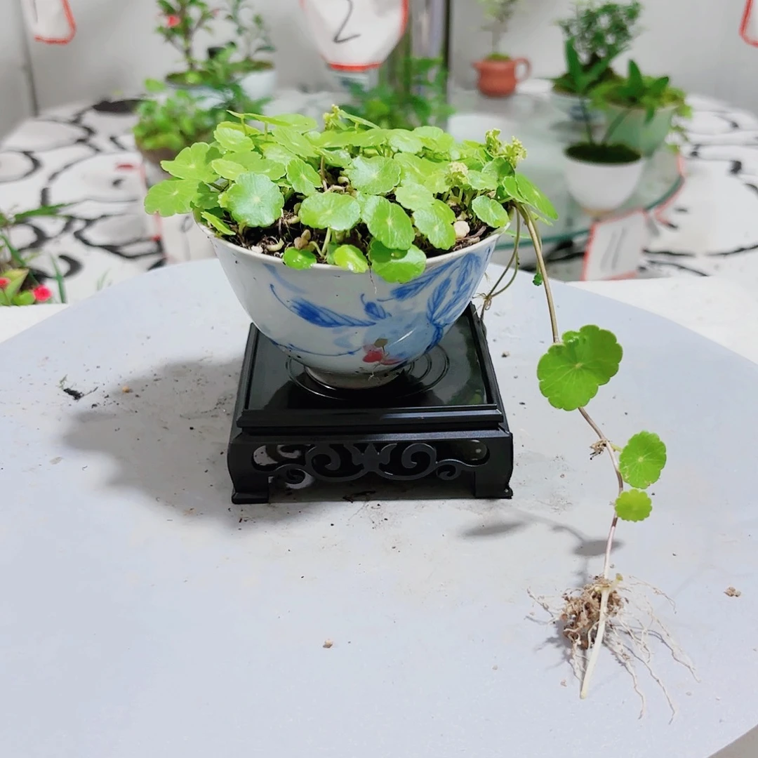 夕一物一拍所见即所得76