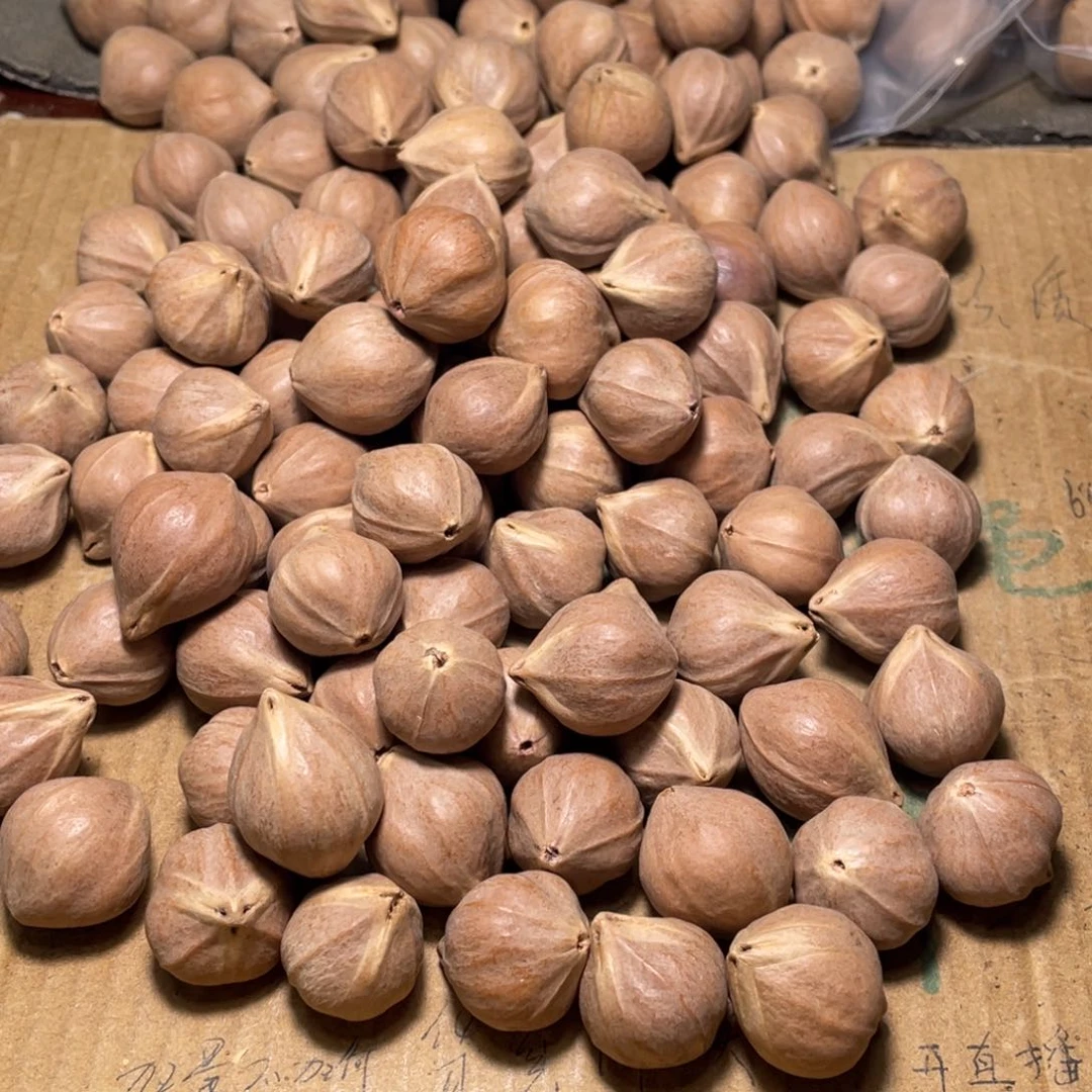 超***生橄榄核手串/手链不退不换qrtu