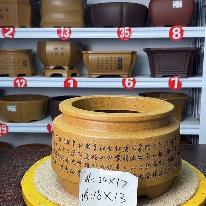 花盆紫砂你在一起