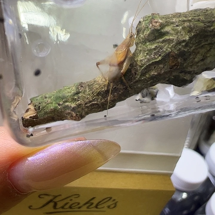 唐***僧哈哈哈哈哈哈哈哈哈哈哈哈哈哈