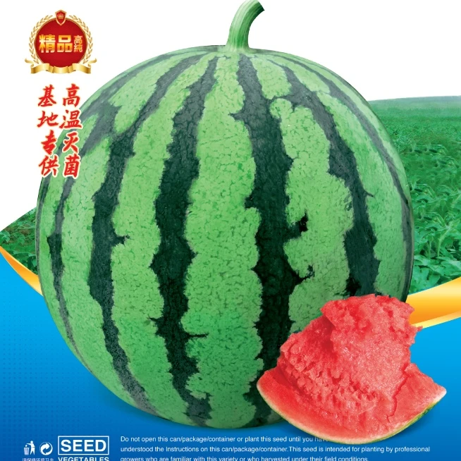 西瓜种 子选种 购买规划播期方案