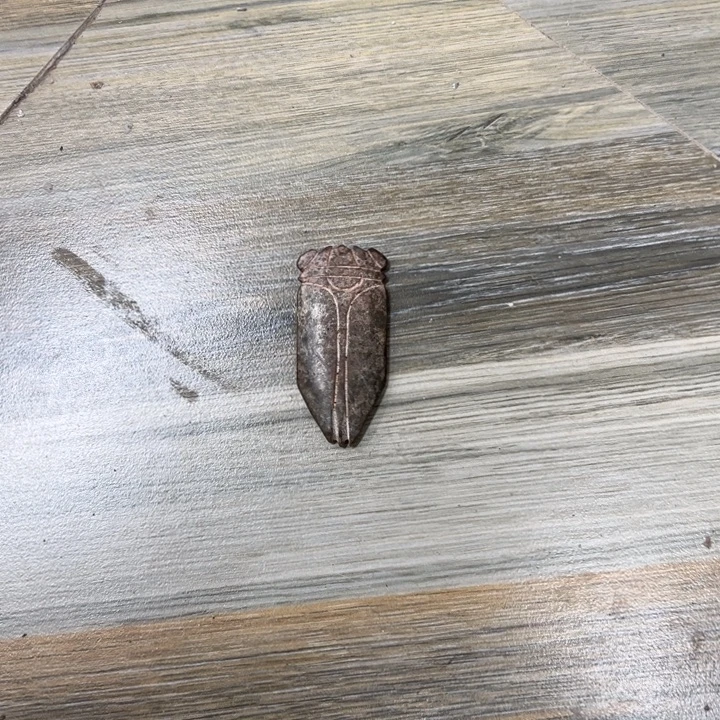 和田玉（黄玉）未镶嵌挂件