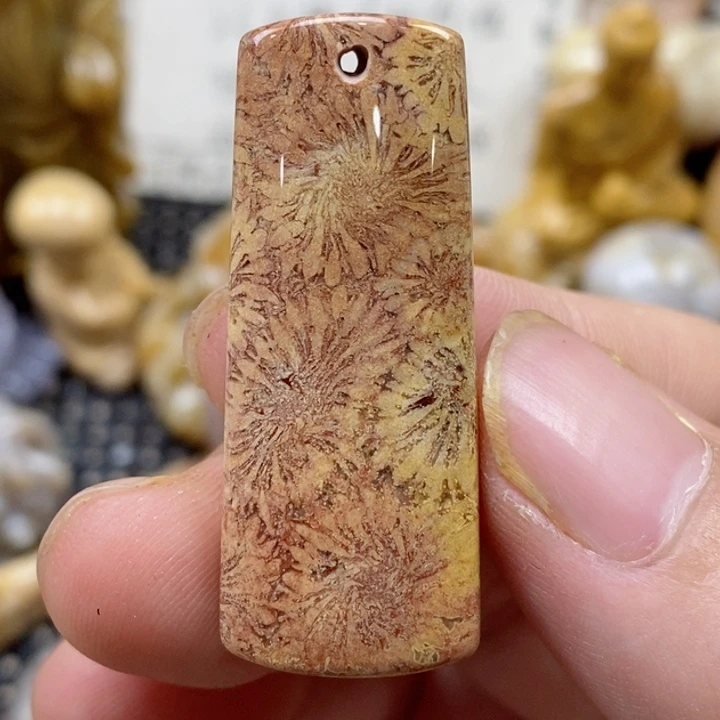 颈饰未镶嵌硅化珊瑚（珊瑚玉）小