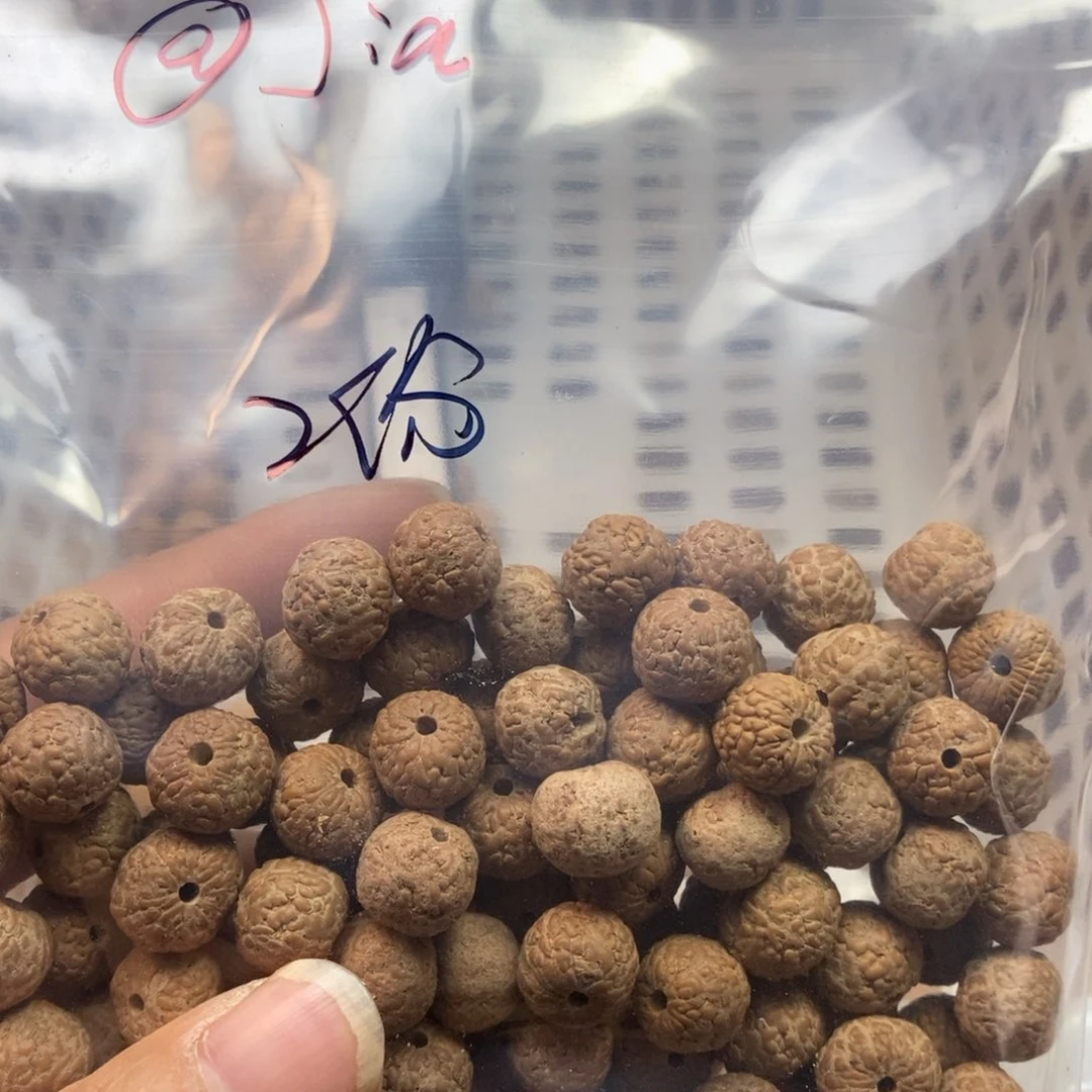 金刚菩提吊坠ᴶ*ᵃ福利散籽无售后