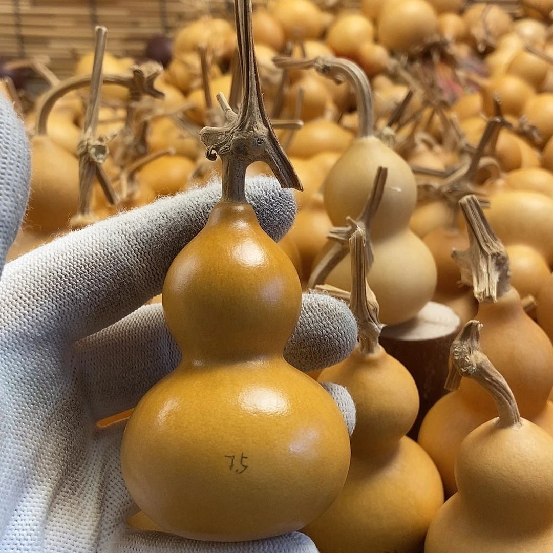 文玩葫芦 完美主义者 慎拍75