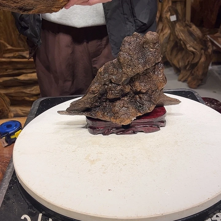 松木（琥珀木）@*辰