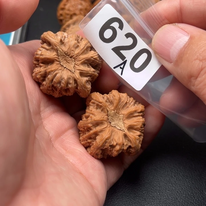 把件桃核密纹38个