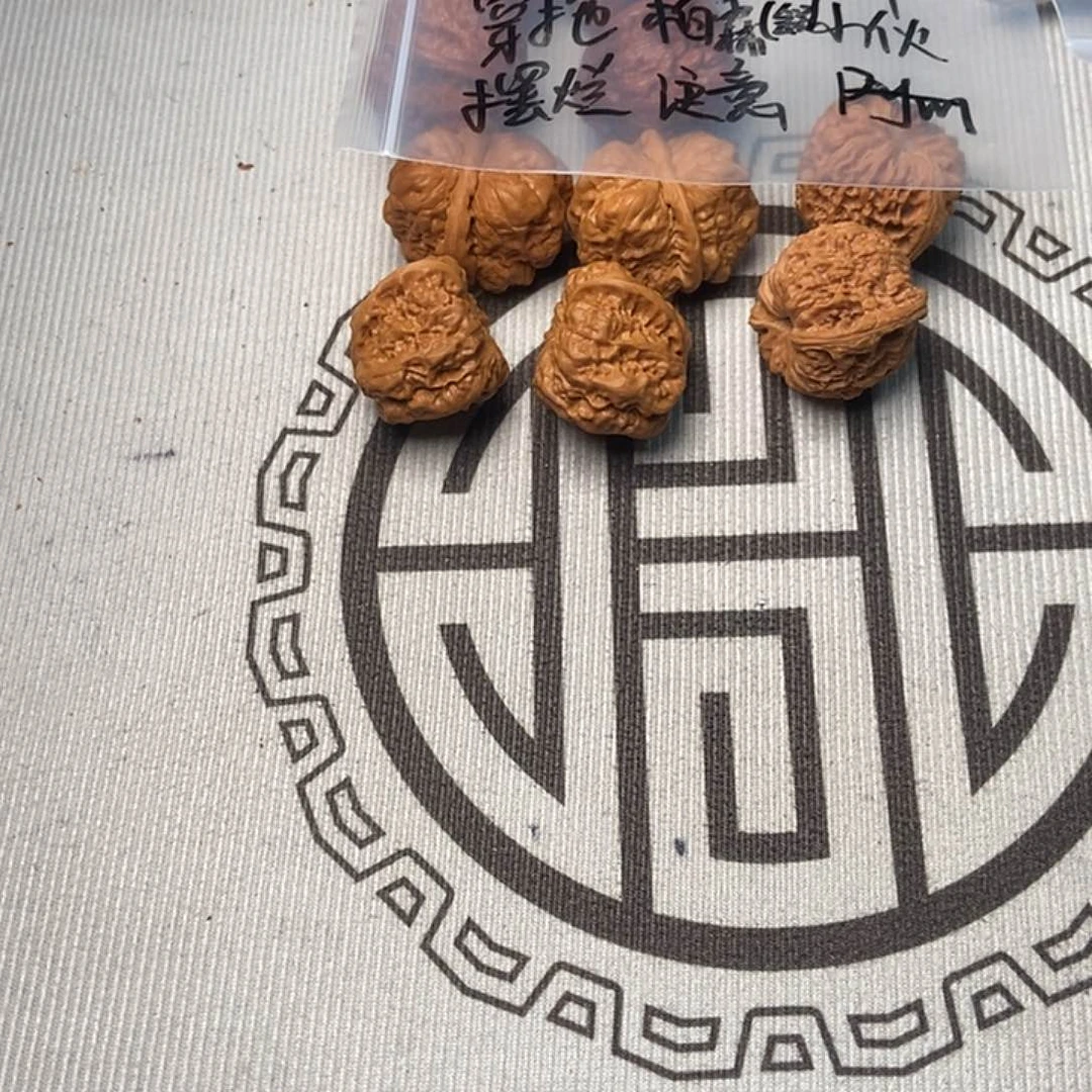 核桃种植户在当地政府扶持之下