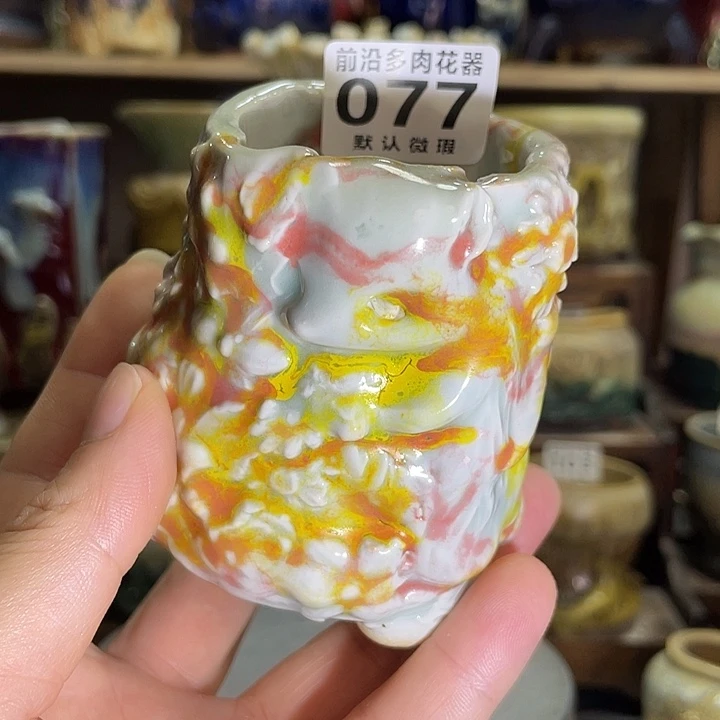 狼盆内口径5高度7