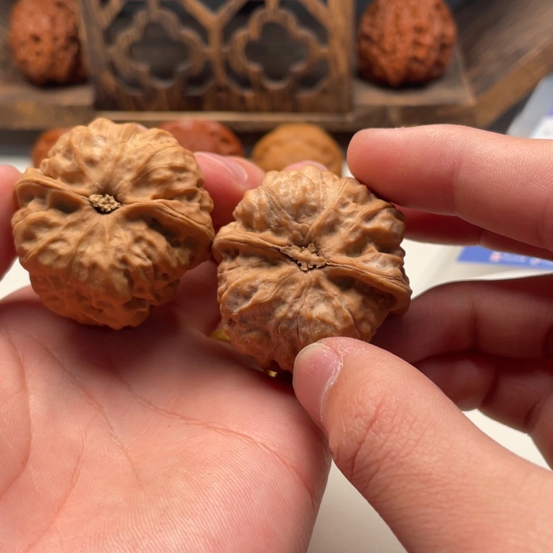 伟***8大叶紫檀（黑酸枝木类）蛤蟆头文玩C31