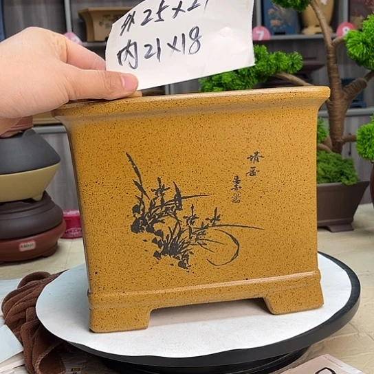 紫砂花盆紫砂花盆