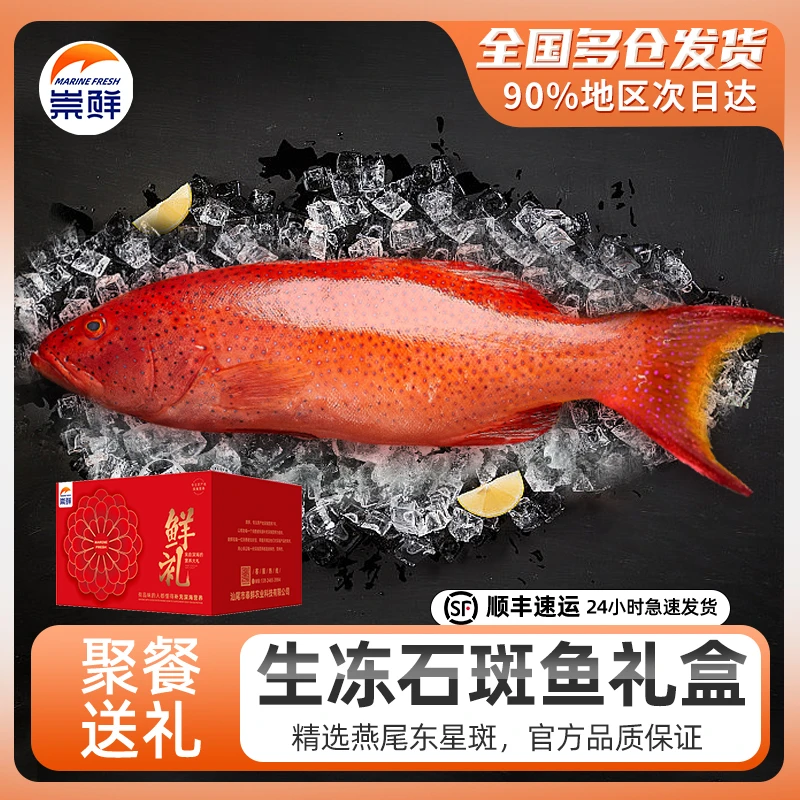 年夜饭新鲜燕尾东星斑活冻送礼海鲜年货礼包速冻红尾斑年饭石斑鱼