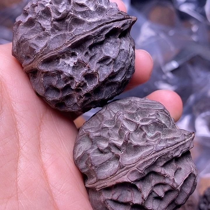 肺***话把件文玩核桃   66