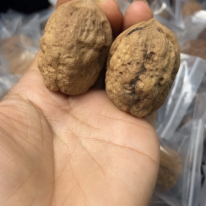 把件文玩核桃云南铁核桃基地35