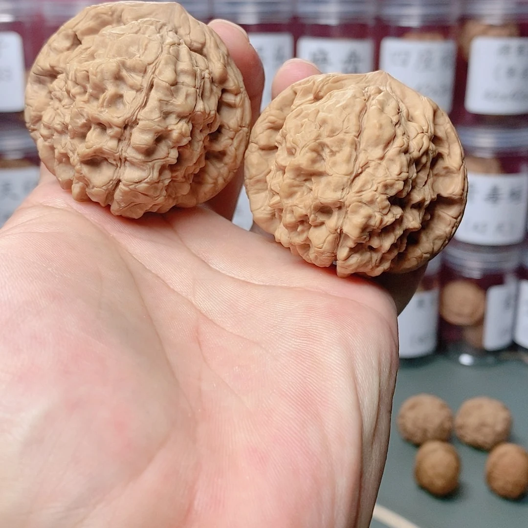 52尺全品精对龙鼎。。。。